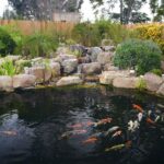 Pond Filter Myths