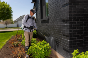 Pest Control