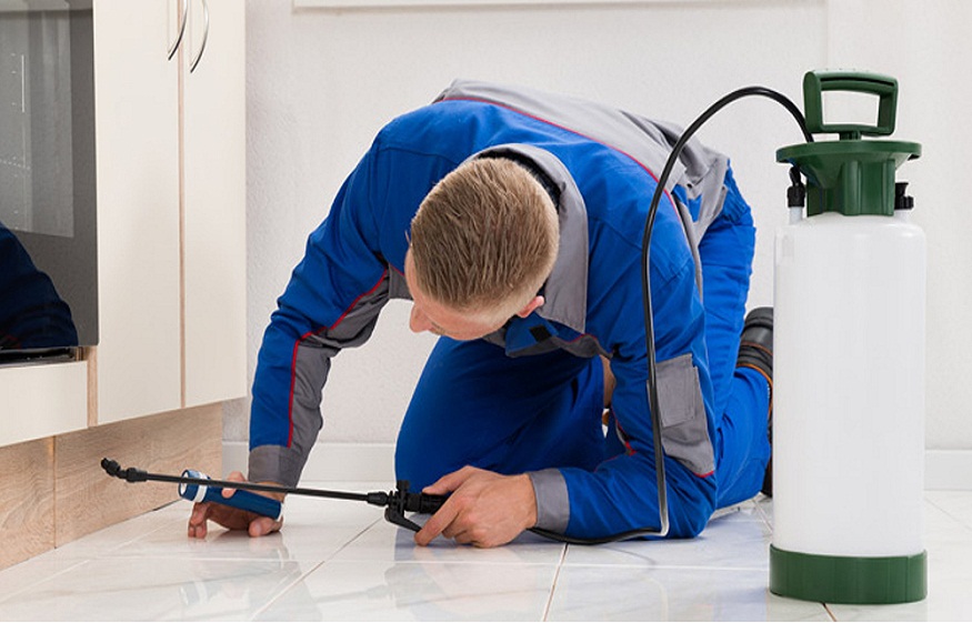 Pest Control