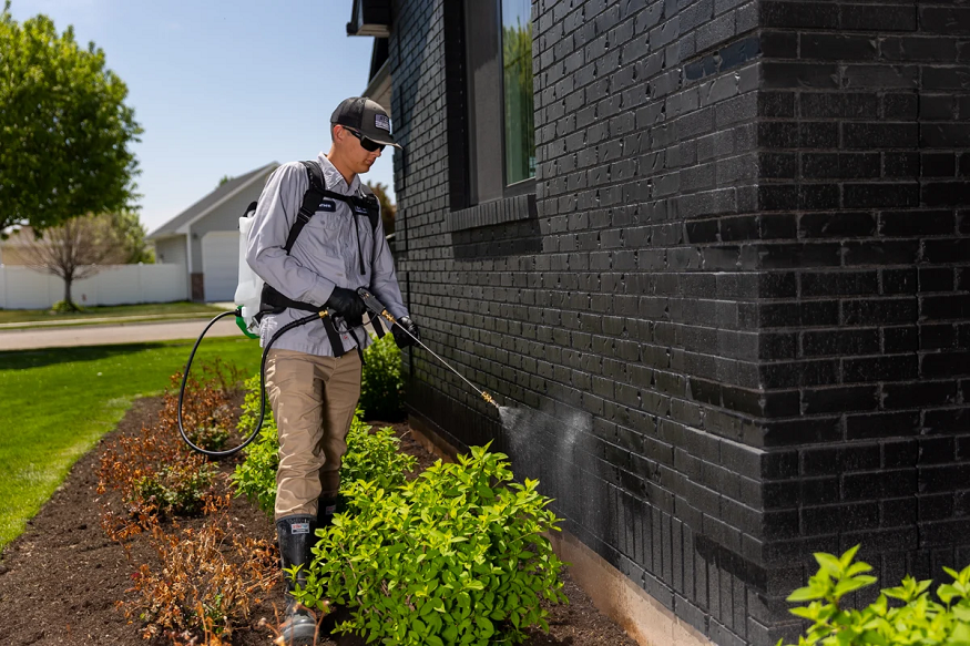 Pest Control